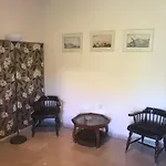 Charieta N.7